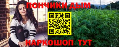 индика Тверь