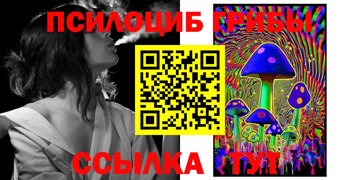 Псилоцибиновые грибы Psilocybe  Галлюциногенные грибы мицелий  Кулебаки  Вход с VPN 